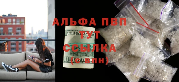прущие грибы Вязьма