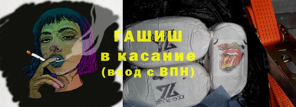 прущие грибы Вязьма