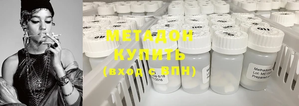 прущие грибы Вязьма