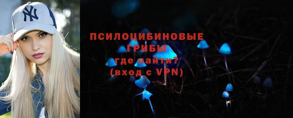 крисы Вязники