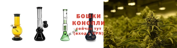 крисы Вязники