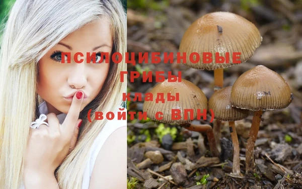 кокаин перу Вяземский