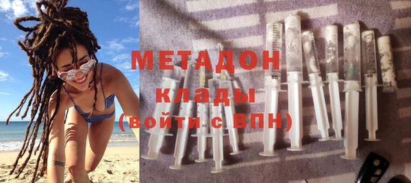прущие грибы Вязьма