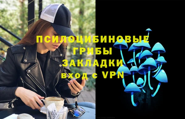 крисы Вязники