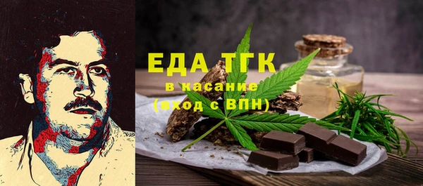 прущие грибы Вязьма