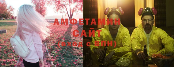прущие грибы Вязьма