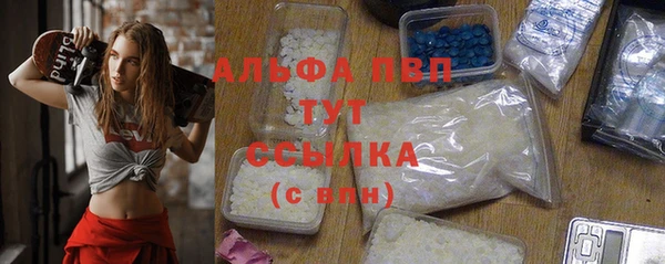 прущие грибы Вязьма