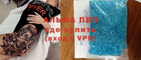 прущие грибы Вязьма