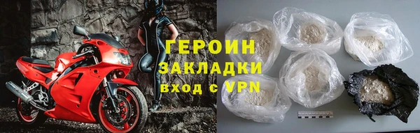 прущие грибы Вязьма