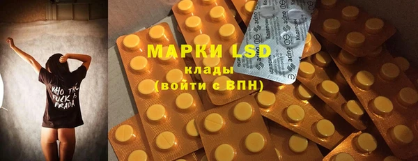 прущие грибы Вязьма