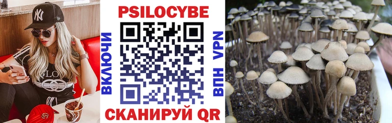 Псилоцибиновые грибы прущие грибы Купить где Мариинский Посад